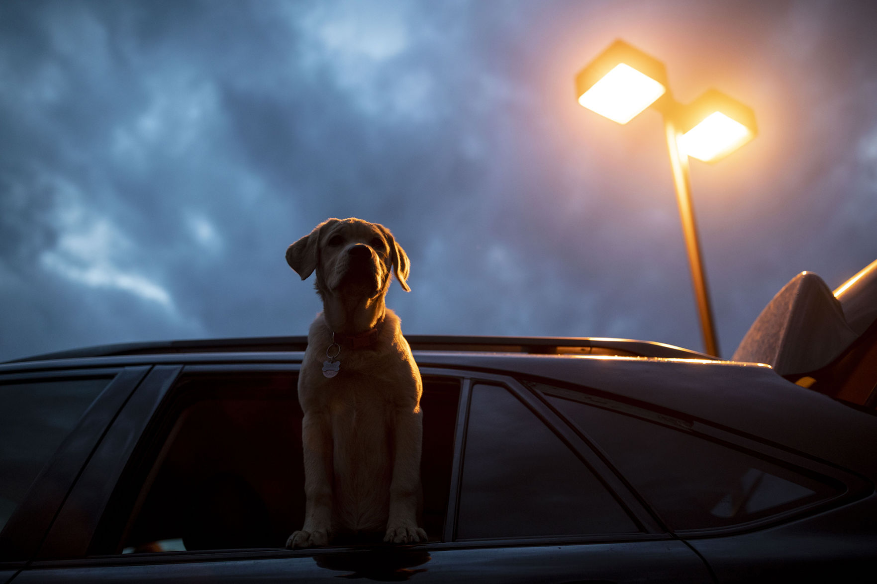 051820-news-drivein 12.jpg